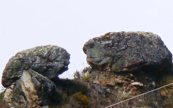 Las dos piedras de cerca, cubiertas de líquenes, en el punto en que parecen tocarse.