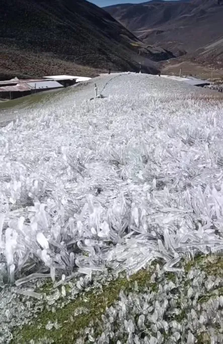 Mañana de helada en el páramo: la escarcha cubre de blanco la vegetación de la ladera. Al fondo, los techos de unas casas y el valle.