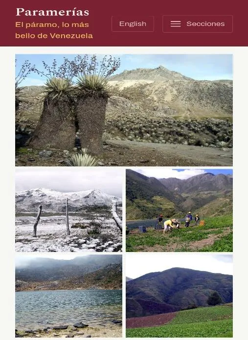 Captura de paramerias.com hecha por el propio cronista en su teléfono: la cabecera del sitio y el mosaico de fotografías de la portada.