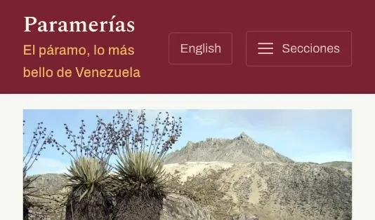 Captura de la cabecera de paramerias.com con el lema y el botón de English.