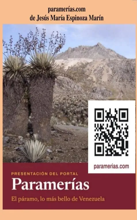 Afiche de la presentación del portal paramerias.com, de Jesús María Espinoza Marín.