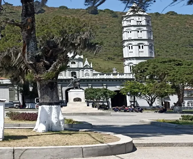 La plaza con el monumento a Bolívar y la torre de la Basílica asomando entre los árboles cargados de barba de palo.