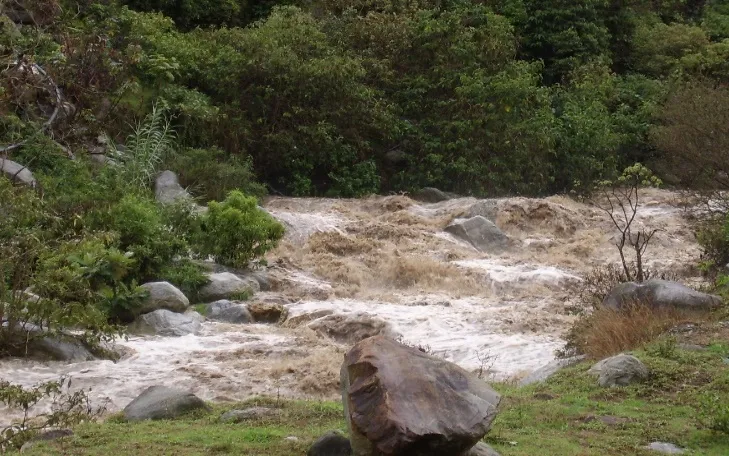 La quebrada bajando crecida y turbia entre las piedras y la vegetación.