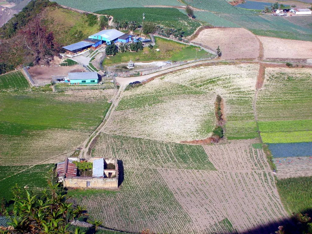El valle sembrado visto desde la altura: parcelas, galpones y una casa de tapia en ruinas entre los surcos.