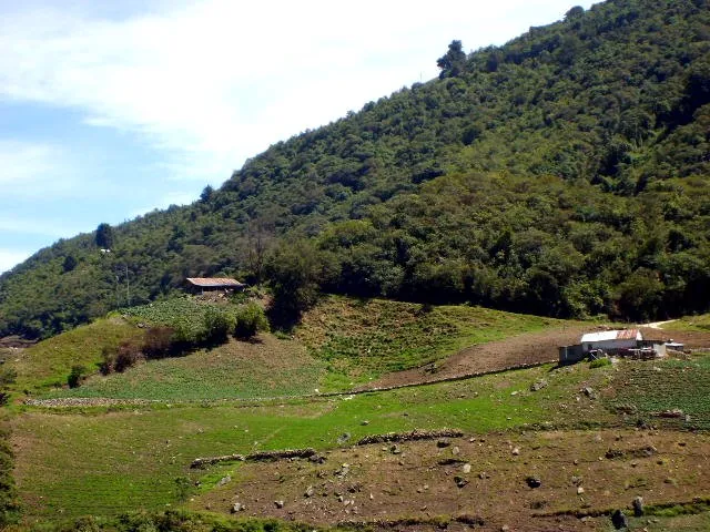 Casas y conucos repartidos por la ladera, al pie del monte.