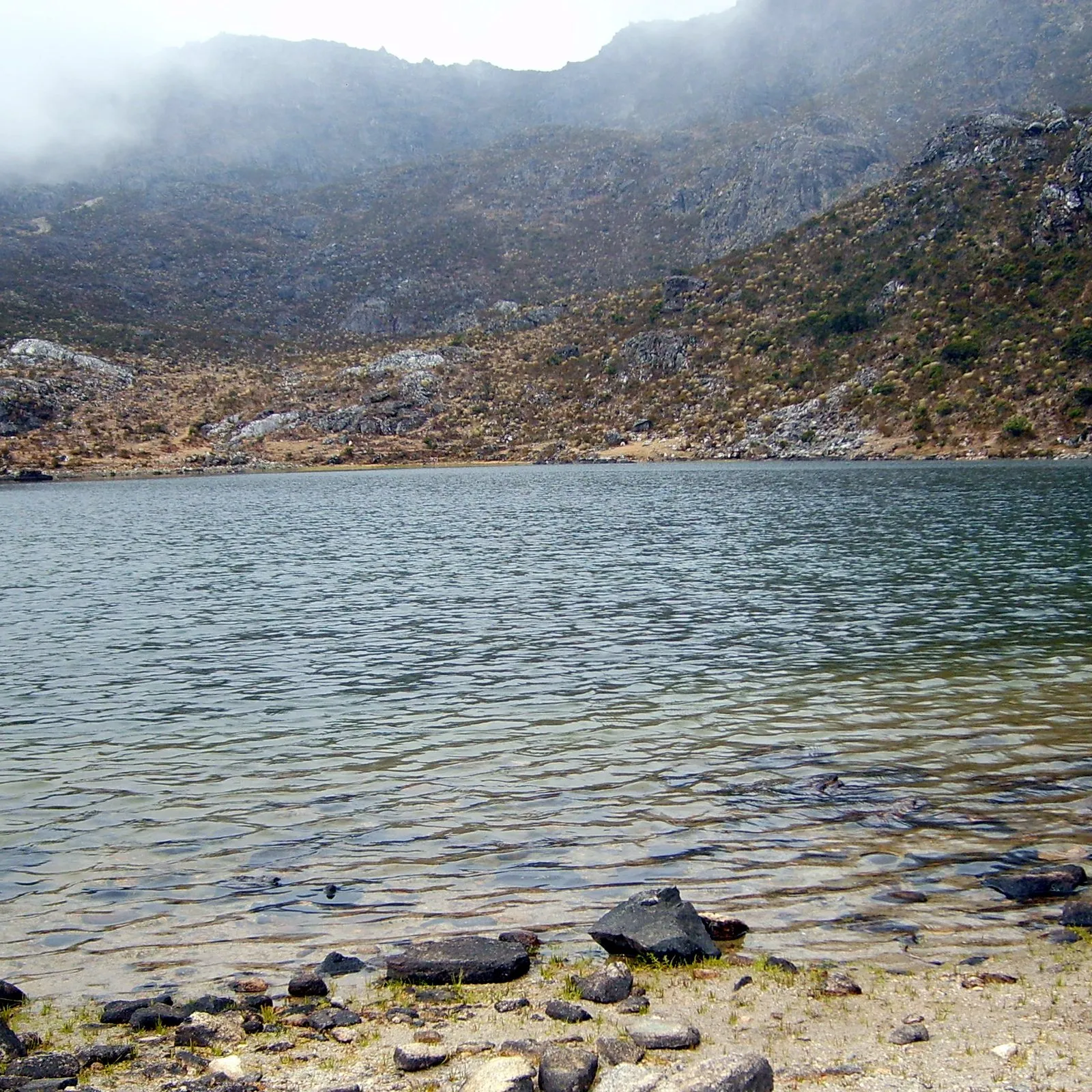A páramo lagoon under the mist