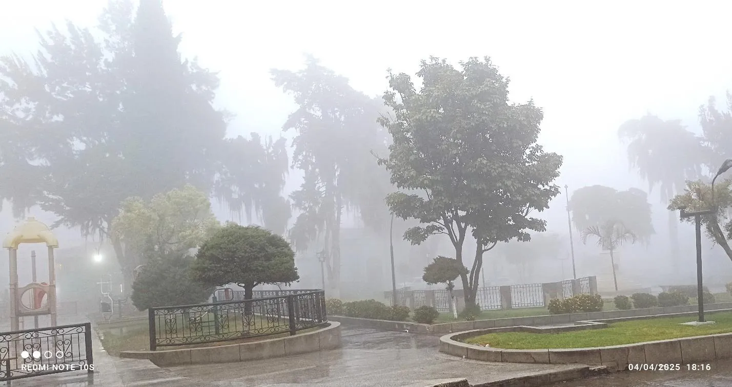 «La plaza con su traje de neblina»: los jardines y los árboles envueltos en la niebla.