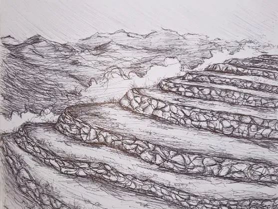 Dibujo de los andenes en las laderas, donde se cultivó la papa domesticada.