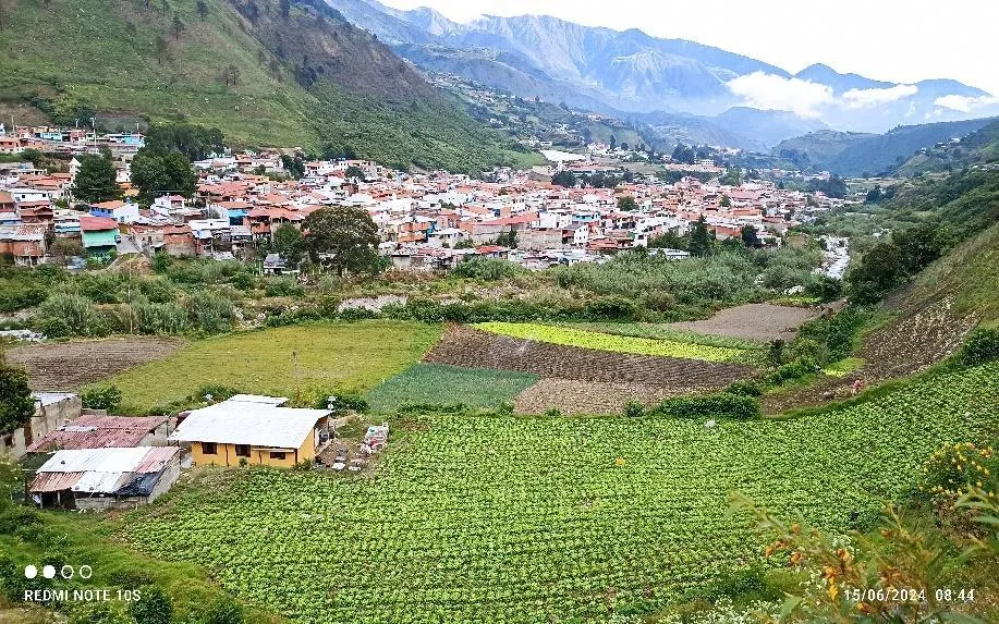 Timotes visto desde los sembradíos: el pueblo, las parcelas de hortalizas y las montañas al fondo.