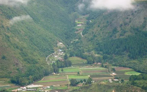 Parcelas sembradas en el fondo de un valle, entre montañas cubiertas de bosque y neblina.