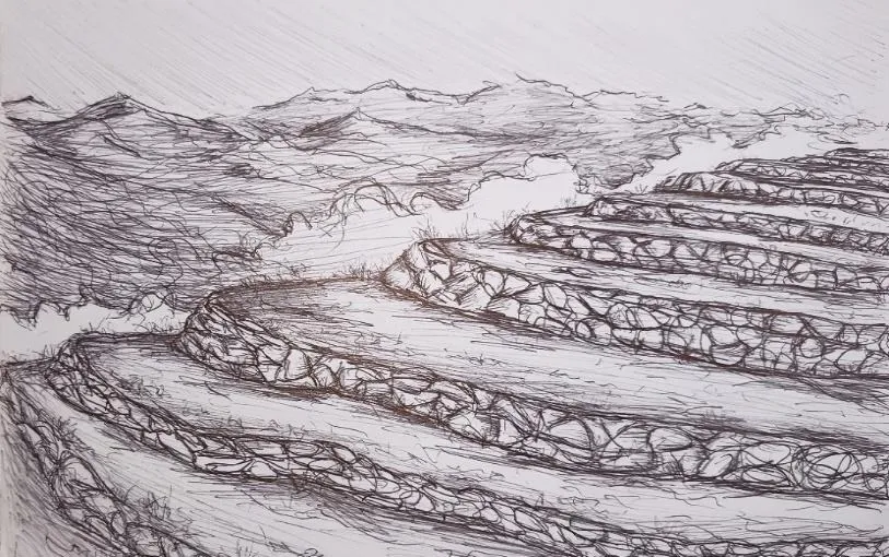 Dibujo a tinta de andenes: terrazas escalonadas en la ladera, sostenidas por muros de piedra.