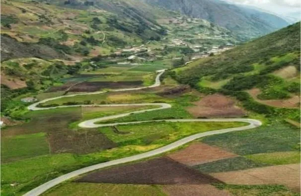 Una carretera que serpentea entre parcelas de distintos colores en el fondo del valle.