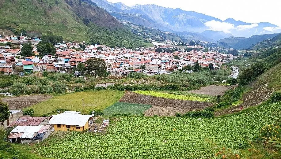Timotes visto desde los sembradíos: parcelas de hortalizas al pie del pueblo y montañas al fondo.
