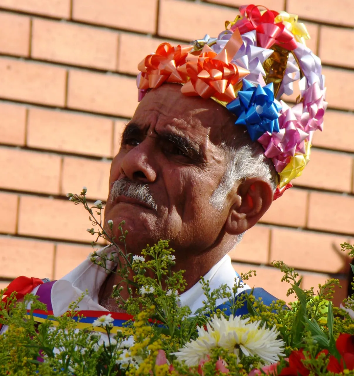 Giro con la corona hecha de lazos de regalo, asomado entre las flores del anda.